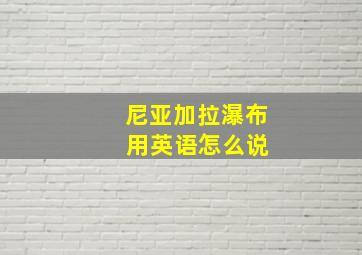 尼亚加拉瀑布 用英语怎么说